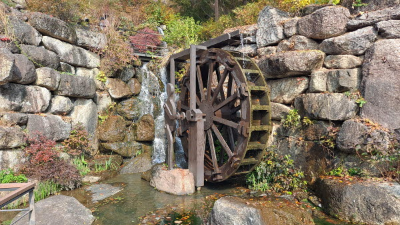 단풍명소_화담숲_전통담장길