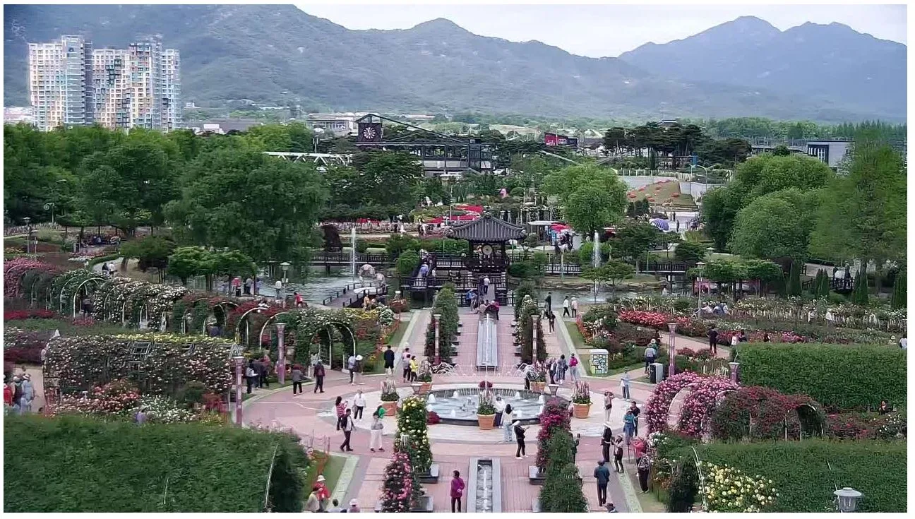 곡성 세계장미축제 이미지