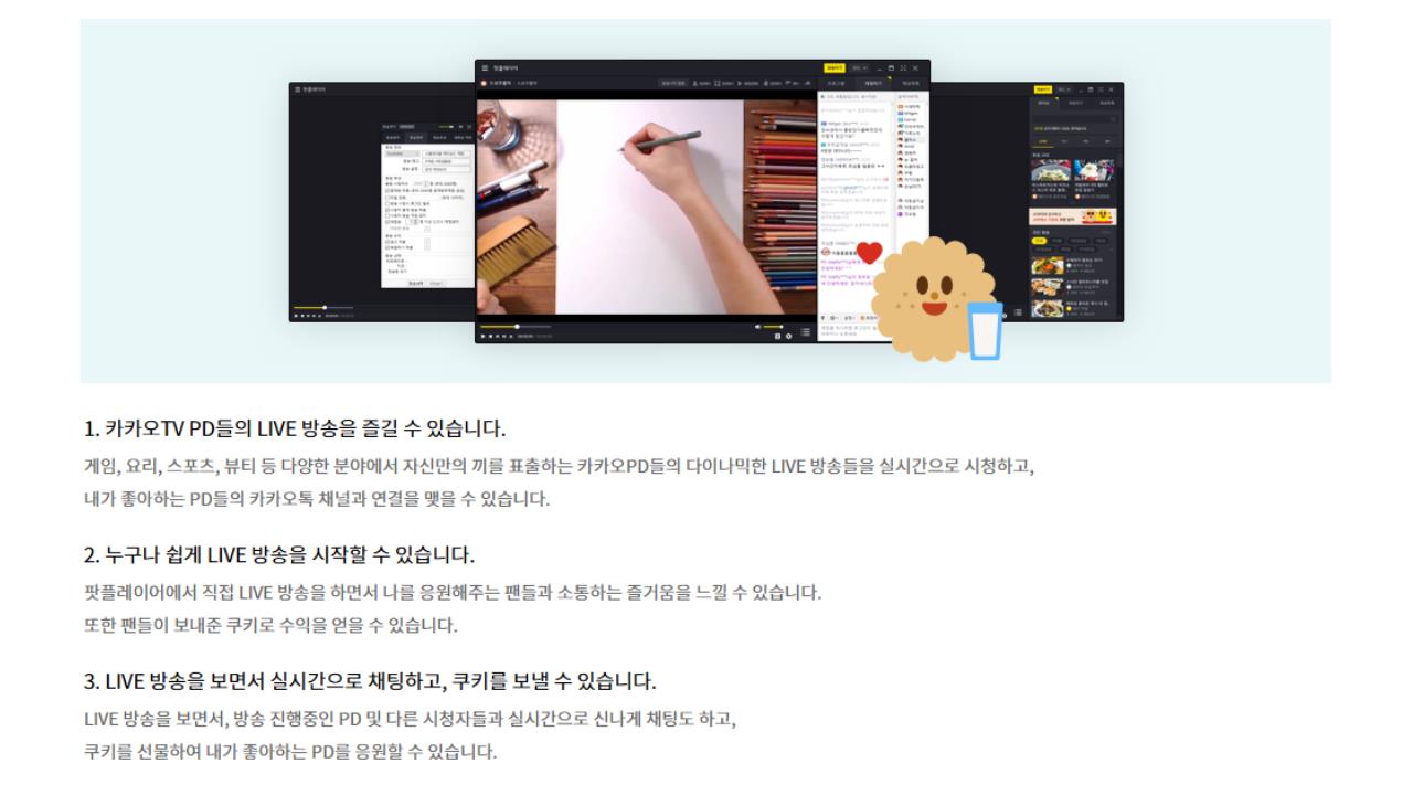 무료 동영상 플레이어