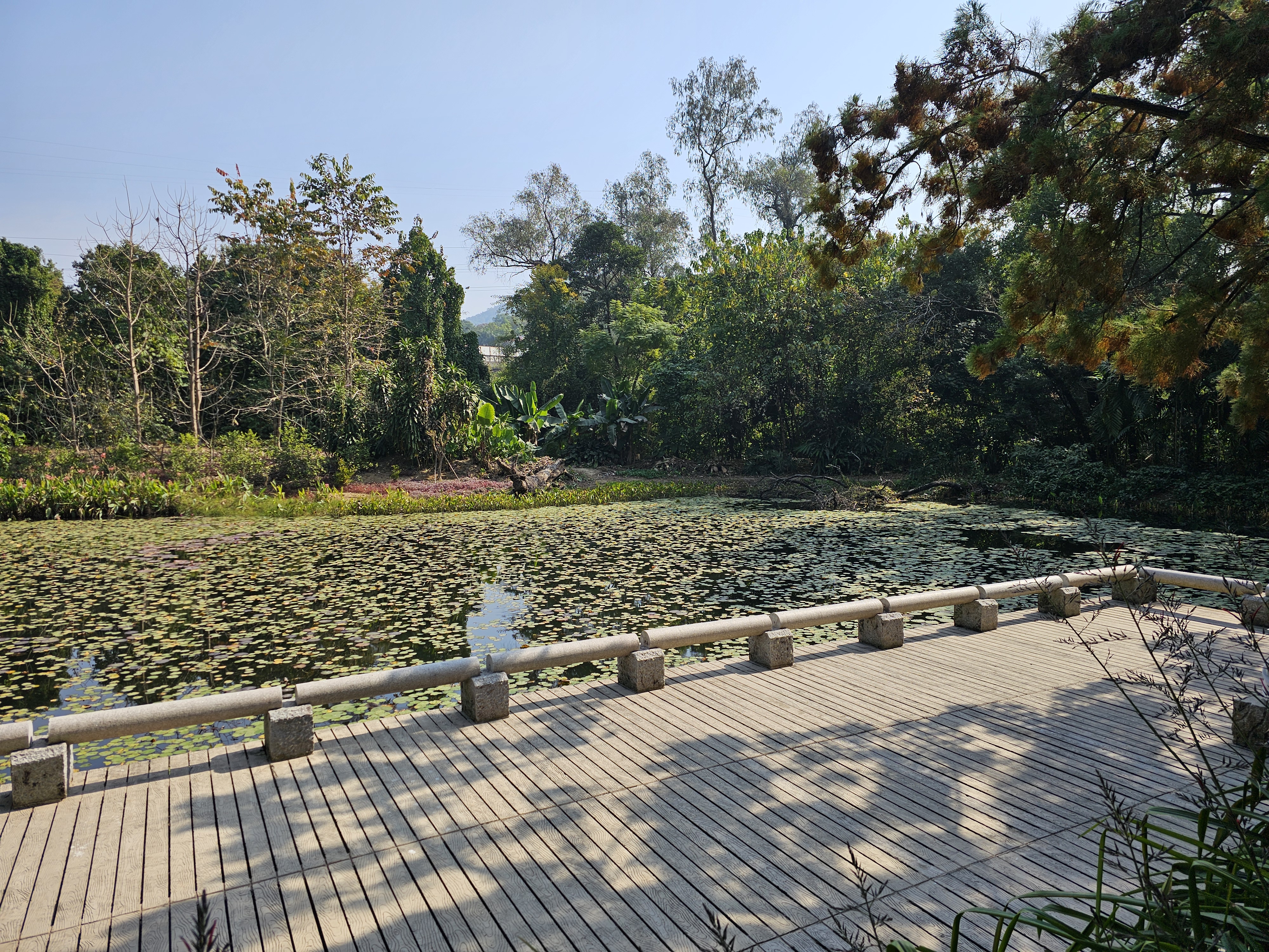 광저우 화남식물원