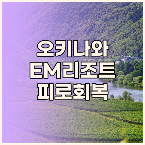 EM 웰니스 리조트, 오키나와 여행의