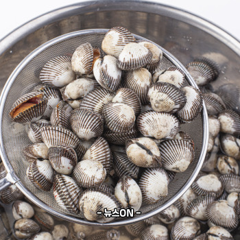 꼬막 해감쉽게하는법