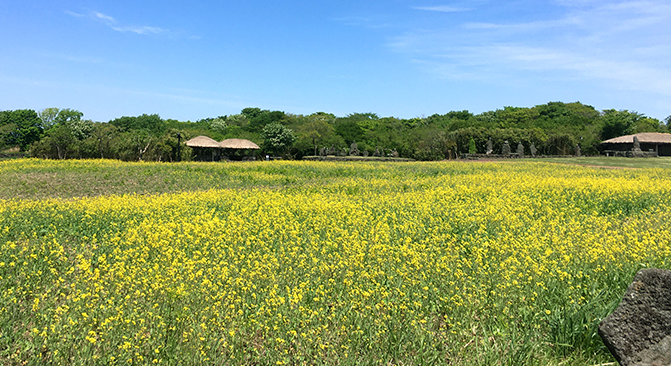 제주돌문화공원(10)