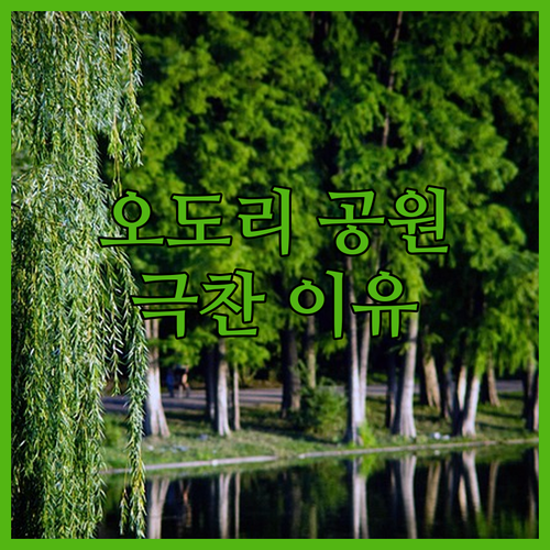 오도리 공원 호텔, 왜 한국인들이 극