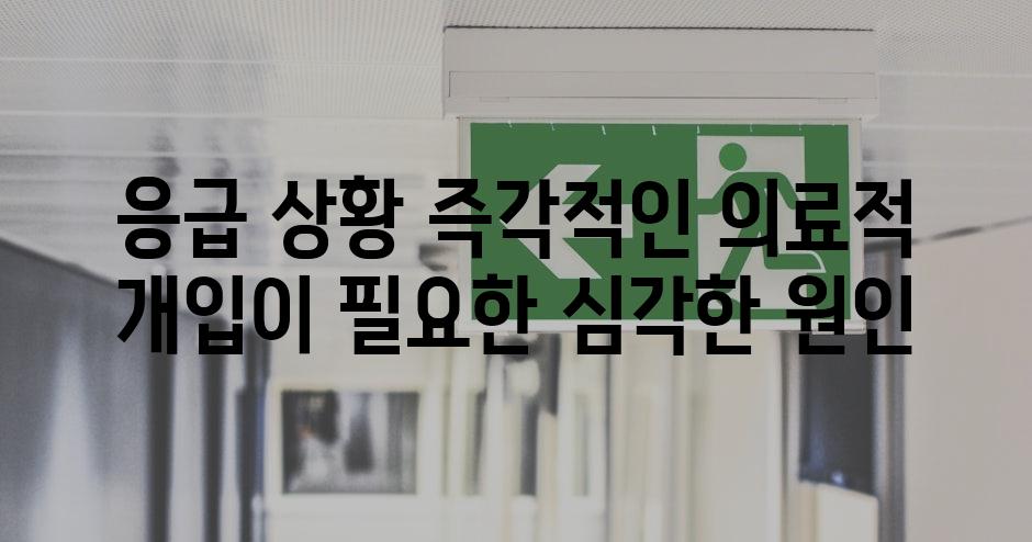 응급 상황 즉각적인 의료적 개입이 필요한 심각한 원인