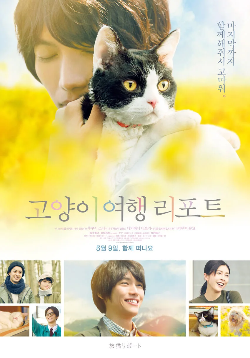 고양이-여행-리포트-포스터