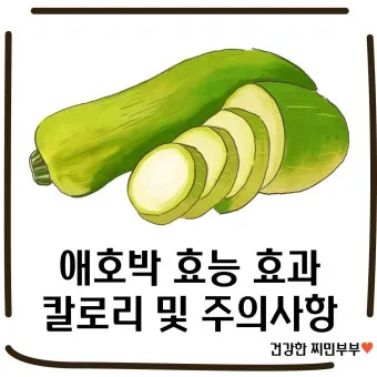 애호박 효능 여름철 보약 같은 채소 정리_15
