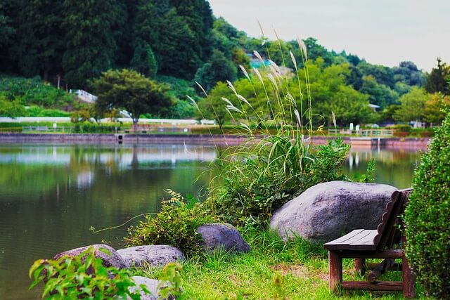 효율적인 탄소저감, 도시녹화