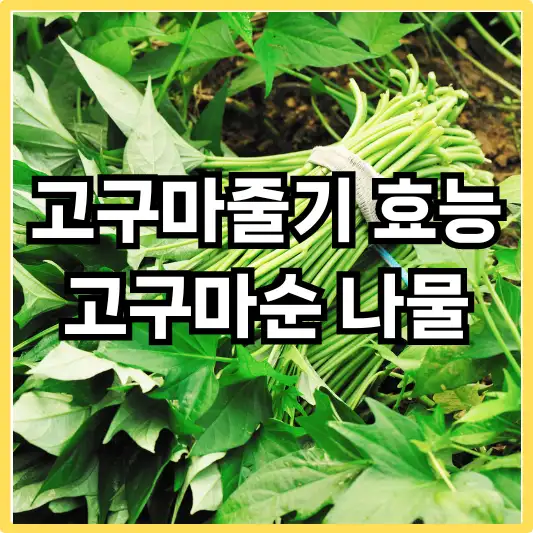 고구마줄기
