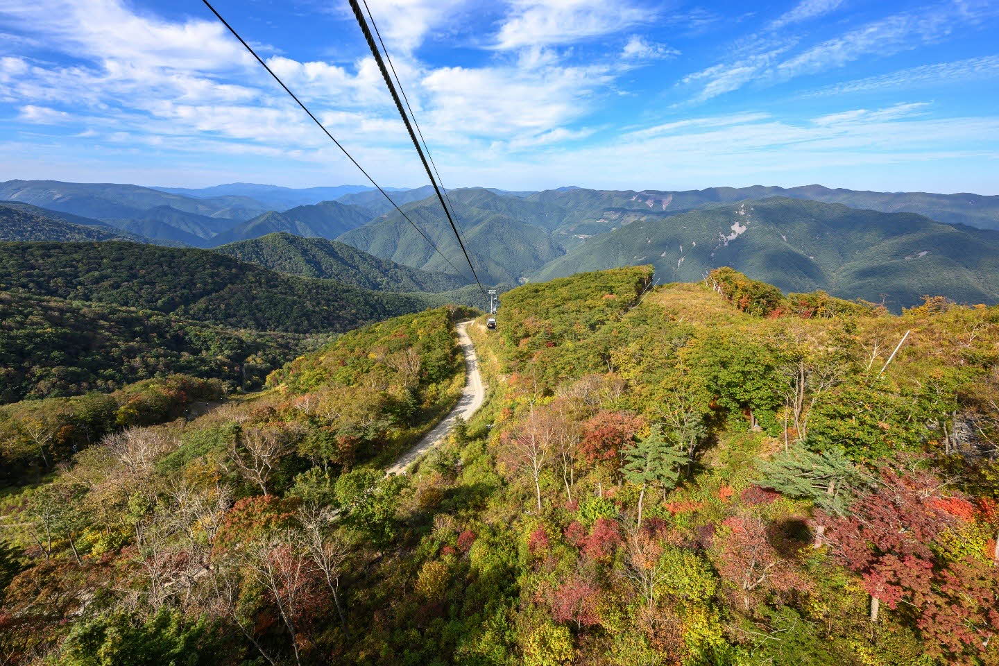 정선 가리왕산 – 울창한 원시림이 있는 등산 명소