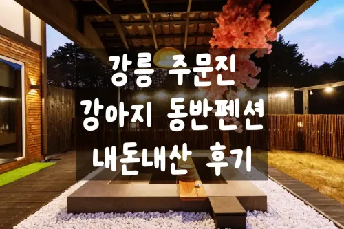 강릉료칸소돌향호-내돈내산후기