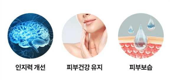 포스파티딜세린 효능 권장섭취량 여에스더 뇌영양제 추천(포스타디딜세린)