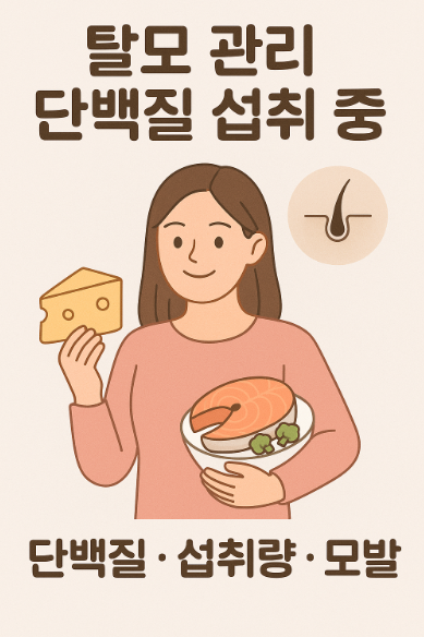 탈모 예방 단백질 섭취법