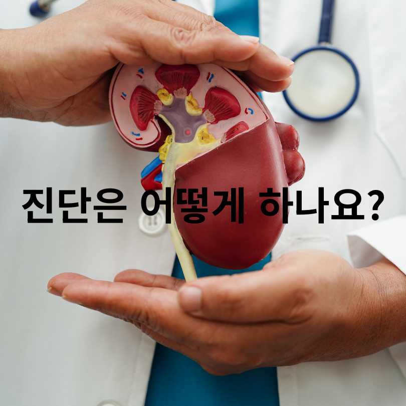 급성 신우신염 증상과 치료기간