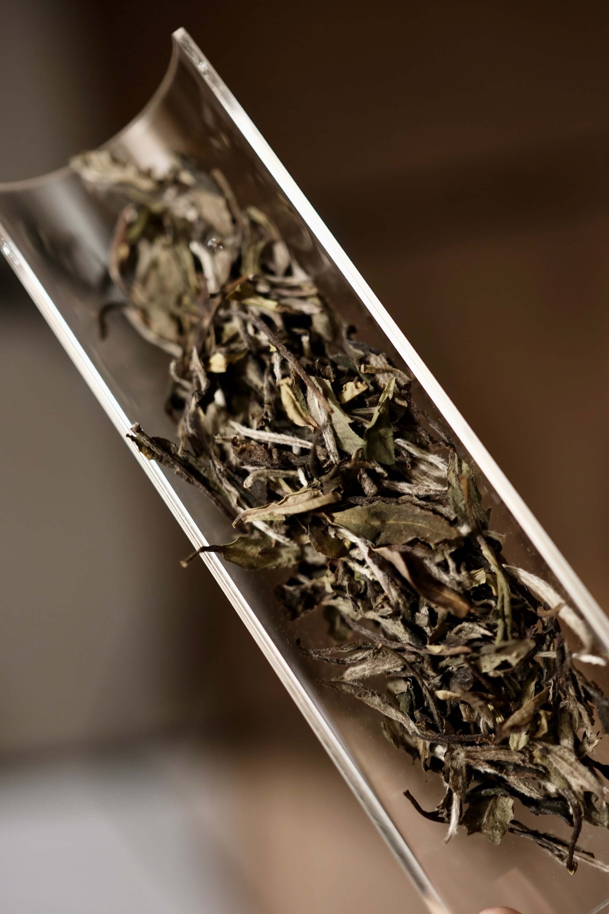 중국 차 문화의 역사와 발전 과정을 볼까요?