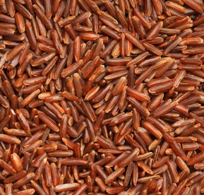 불안장애에 좋은 음식 영양제 식단