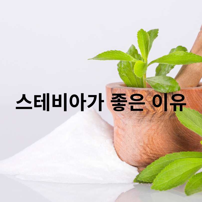 스테비아 vs 알룰로스 차이점