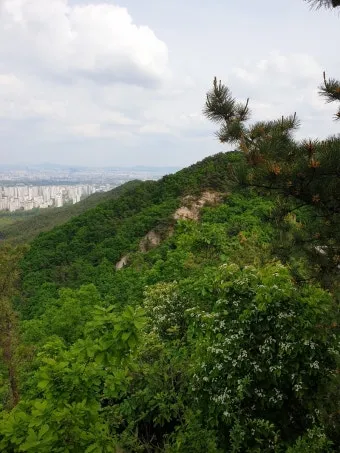 수원 칠보산 등산 코스 추천 용화사 코스로 여유롭게 걷기_20