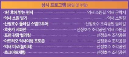 2024 포천 억새꽃축제