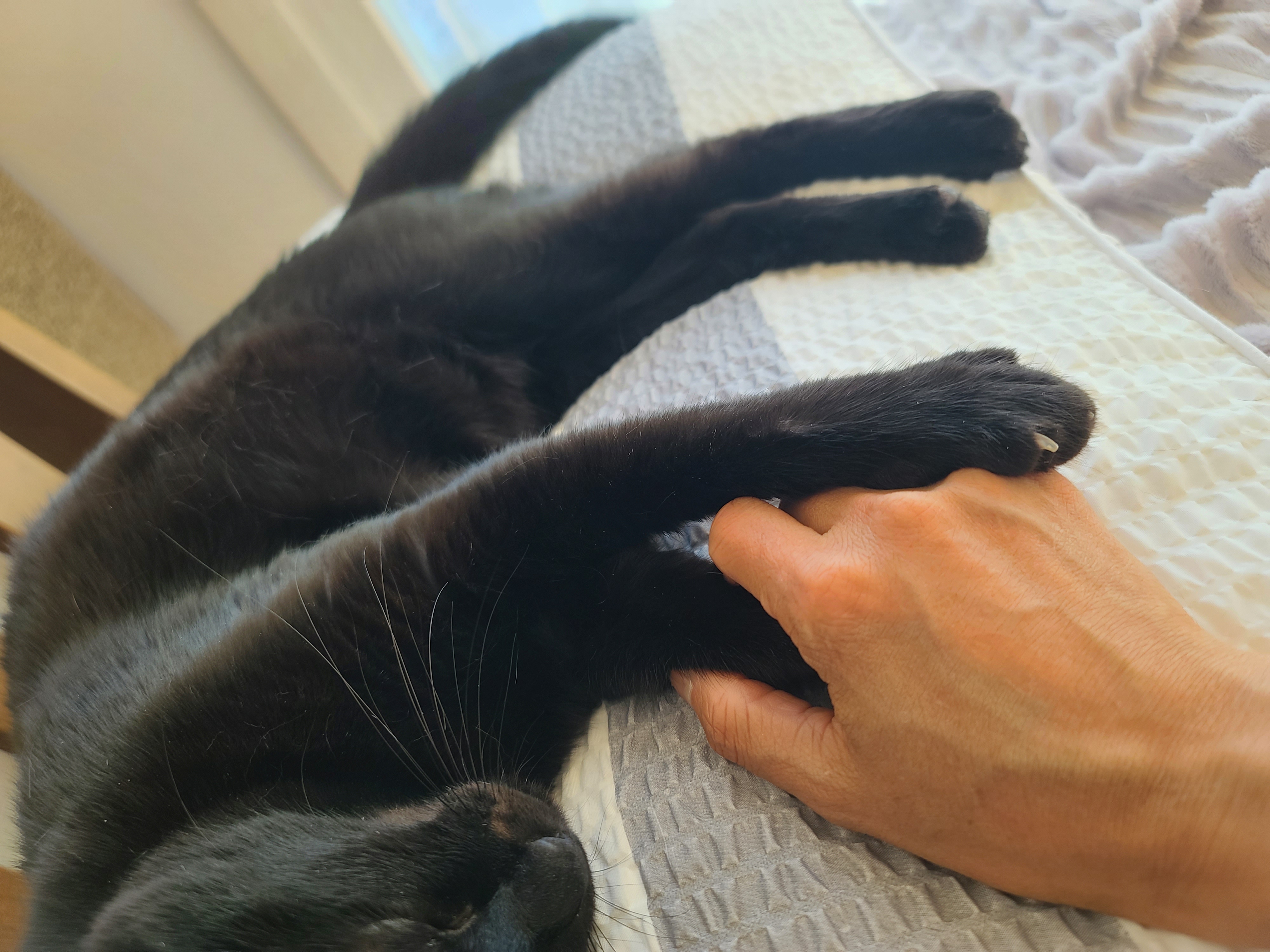 엄마랑 손잡고 잘래...?