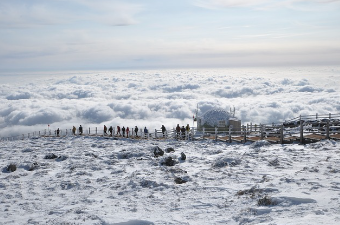 한라산 백록샘 개방! 관람 방법·예약 꿀팁 총정리