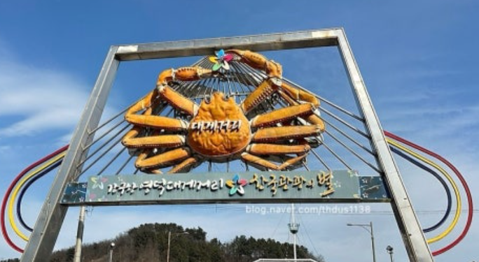 영덕 대게골목거리