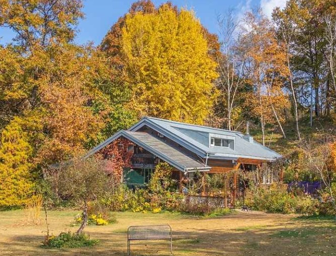 [강원도 여행지 추천] 횡성 가볼만한 곳 베스트 10 미술관 자작나무숲