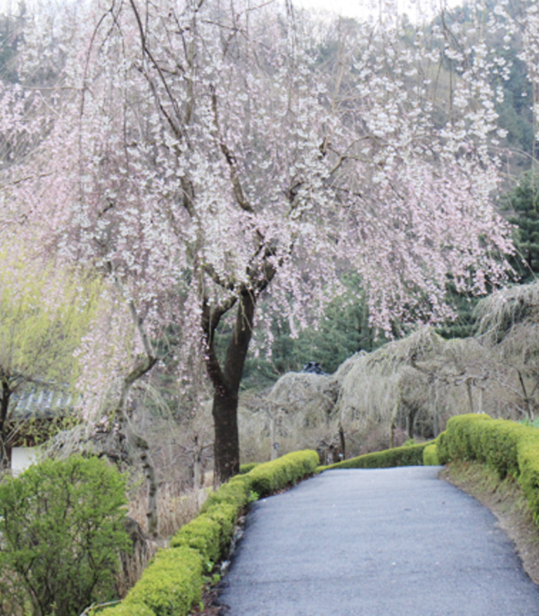 아침고요수목원 정원