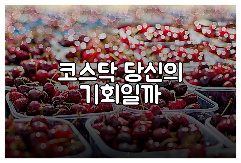 코스닥 당신의 기회일까