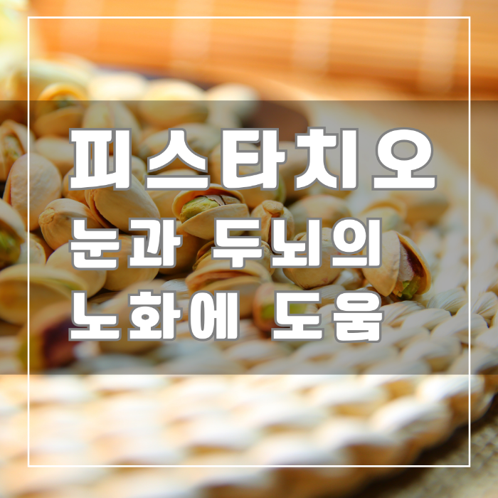 피스타치오 눈과 두뇌 건강에 도움