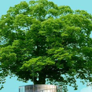 CCUS 관련주 대장주 온실가스 테마주 TOP10