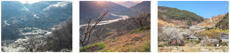 광양 백운산 둘레길 대표 코스 추천 : 천년의 숲길, 섬진강 매화길, 외갓집 가는길, 달 뜨는길