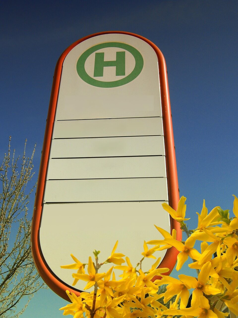 전국 마을 버스 막차 시간 확인하는법