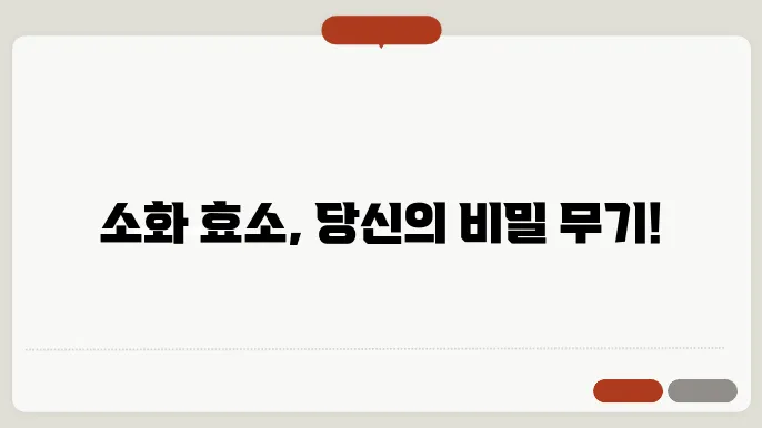 소화효소 효능 및 주의 및 관련 알아보기