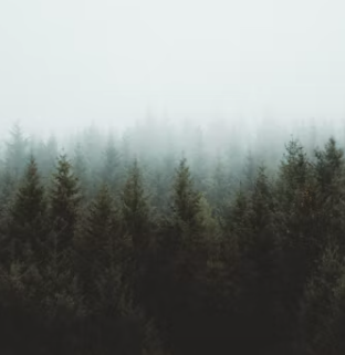 국민연금 유족연금 수령조건 국민연금 유족연금비율 수령액