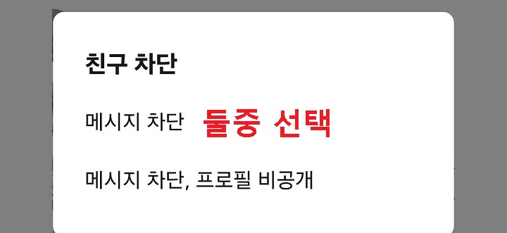 두 개의 옵션 보임