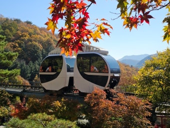 화담숲 예약방법[2025년]