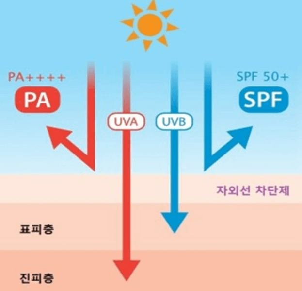 자외선 차단제 올바르게 바르기