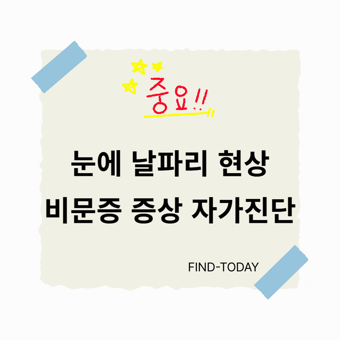 눈에 날파리 현상 비문증 증상 자가진단