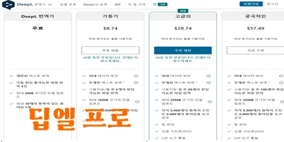 DeeplPro 요금