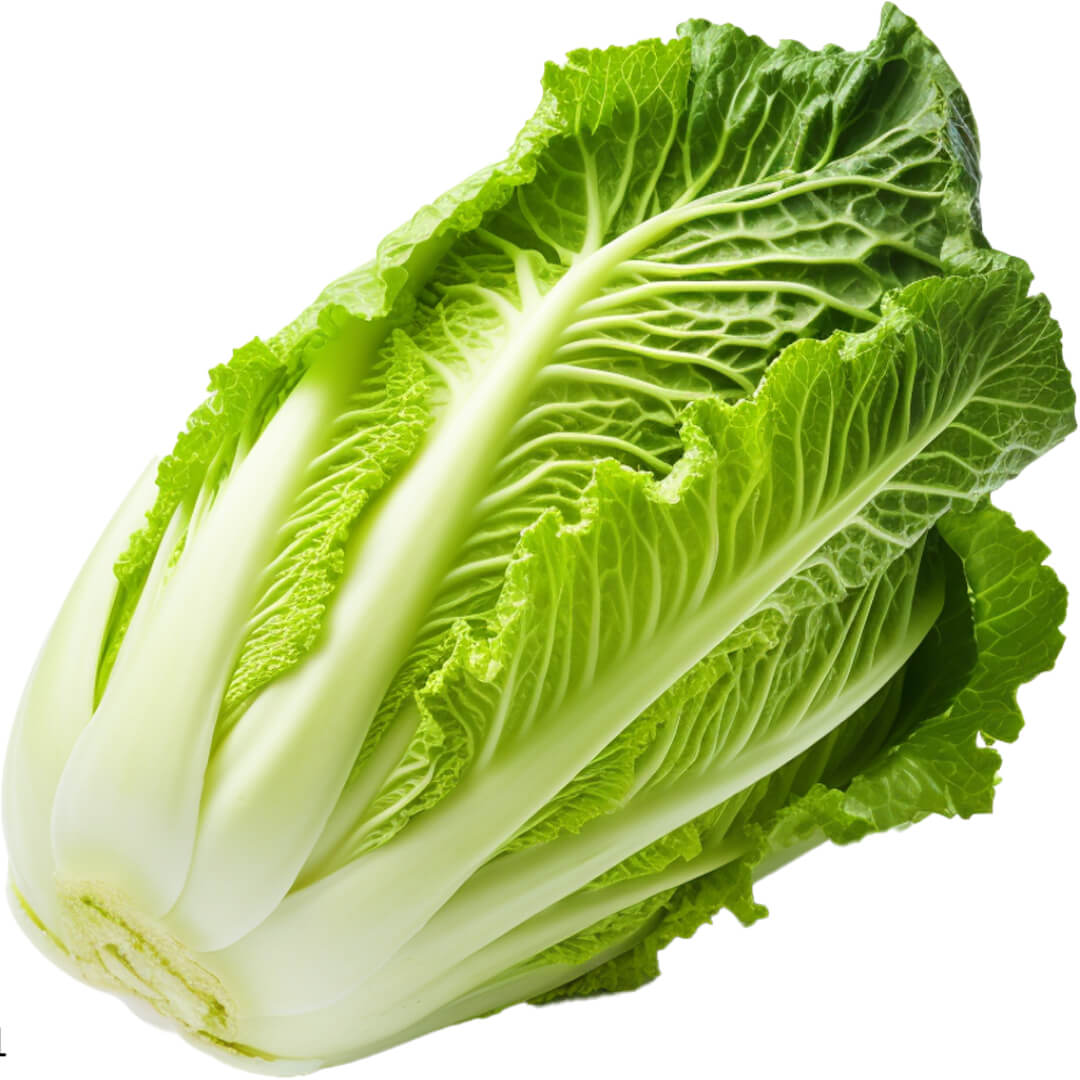 김장김치 10kg 가격 및 파는곳 정리