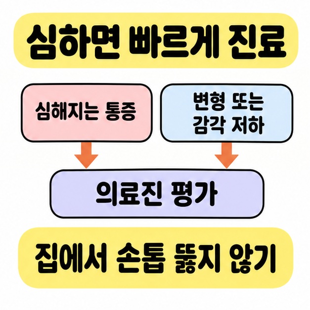 심해지는 통증과 변형 또는 감각 저하에서 각각 의료진 평가로 연결하고 집에서 손톱을 뚫지 않도록 안내한 도식