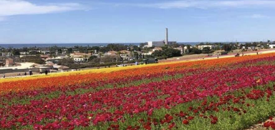 6월 삿포로 여행