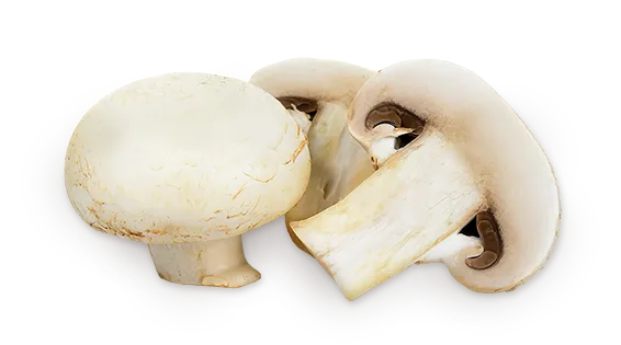 양송이버섯 제철 손질법과 볶음 요리 보관까지 전부 알려드립니다_3