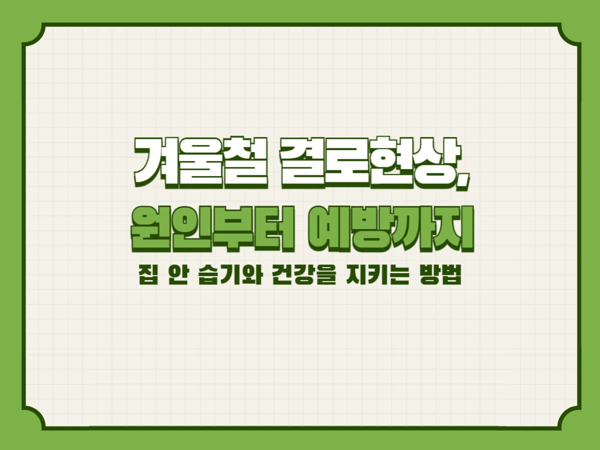 겨울철 결로현상, 원인부터 예방까지: 집 안 습기와 건강을 지키는 방법