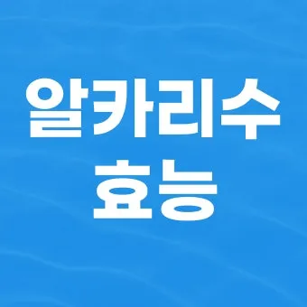 알카리수 효능과 알칼리수 부작용까지 완벽 분석_10