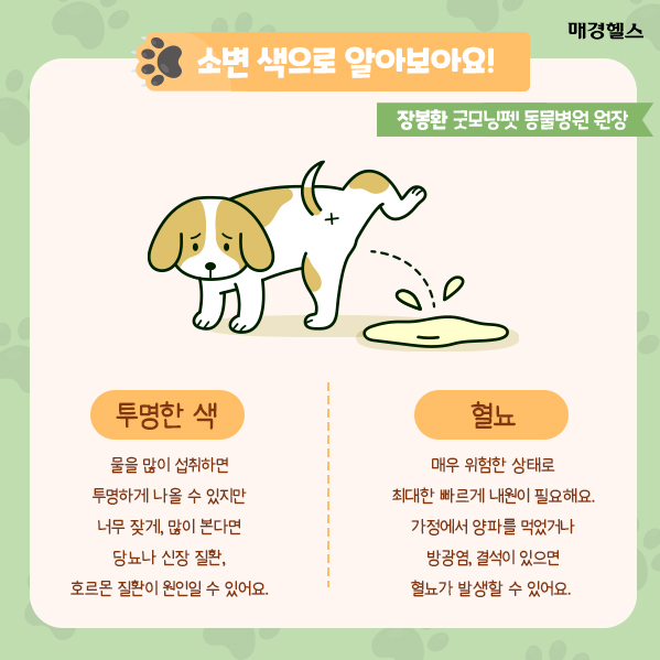 여행 중에는 예상하지 못한 상황이 발생