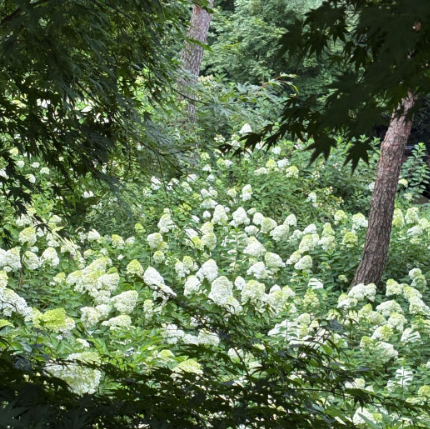 10월 화담숲 예약 방법