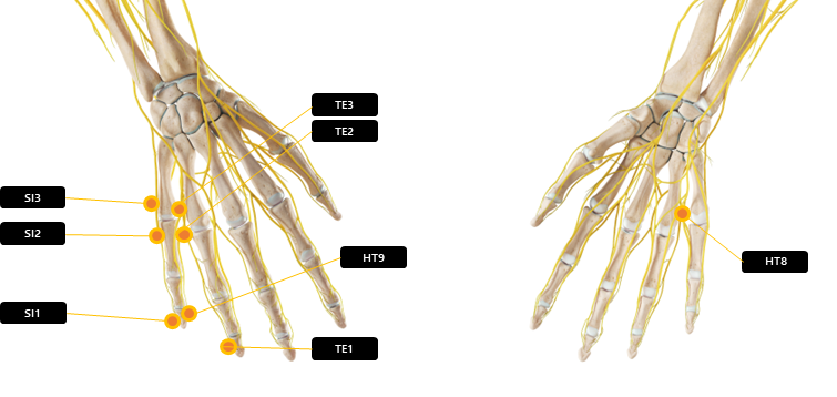 손 주변 혈자리 요약