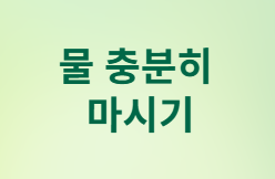 직장인을 위한 과학적 숙취 관리 완벽 가이드